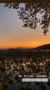 nikoleta.milenova Altpins Profile Picture