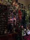 mollieruck Altpins Profile Picture
