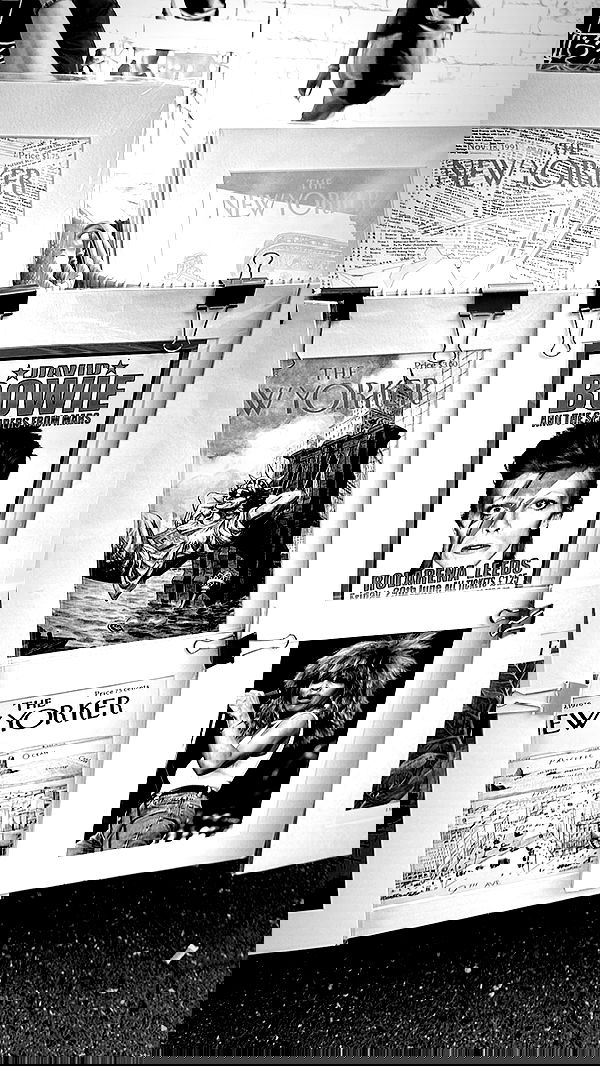 taylor.creeden taylor.creeden archive image