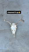 butter.on.a.poptart69 Altpins Profile Picture