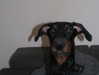 katrina.zaiceva Altpins Profile Picture