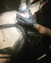 haileylayfield Altpins Profile Picture