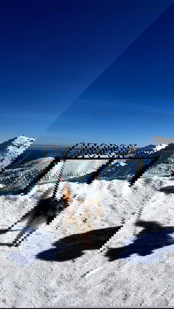 katrina.zaiceva katrina.zaiceva archive image