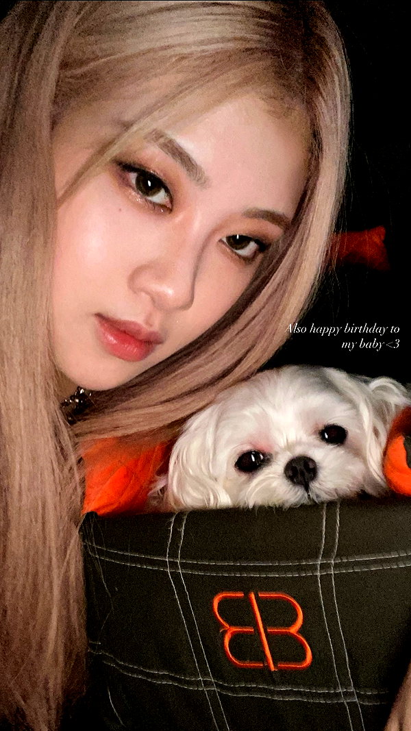 allissashin instagram image archive image