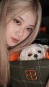allissashin Altpins Profile Picture