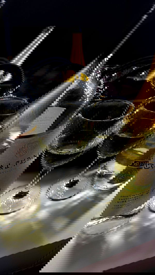 _._dianush._ _._dianush._ archive image