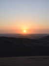 michalcohen___ Altpins Profile Picture