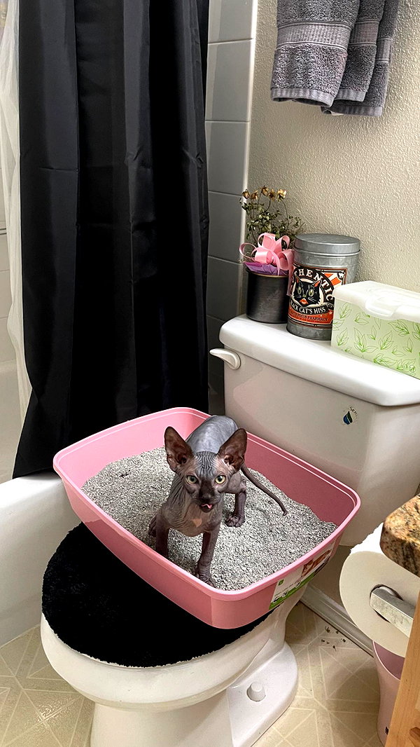 Archived image from @e1or4 on Instagram