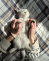 katrina.zaiceva Altpins Profile Picture