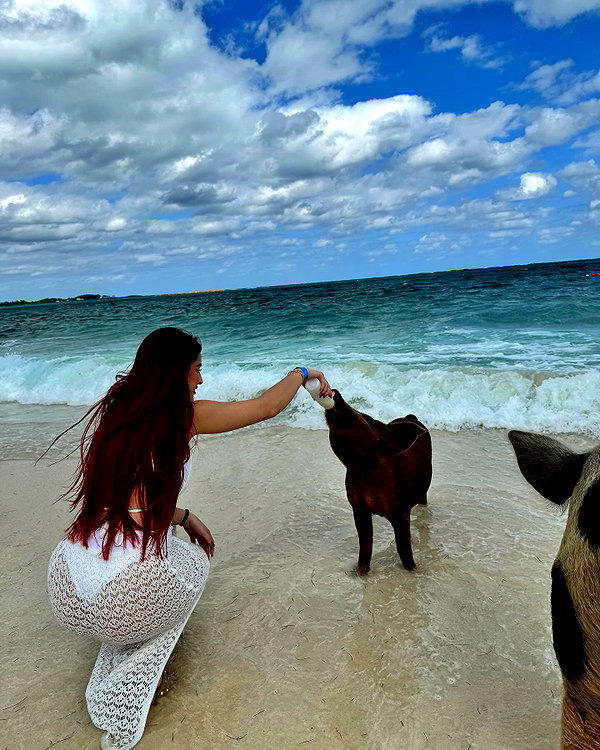 nicollefigueroaa instagram image archive image