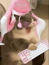 milkiwifey Altpins Profile Picture