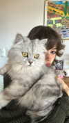 f4iryybl00d Altpins Profile Picture