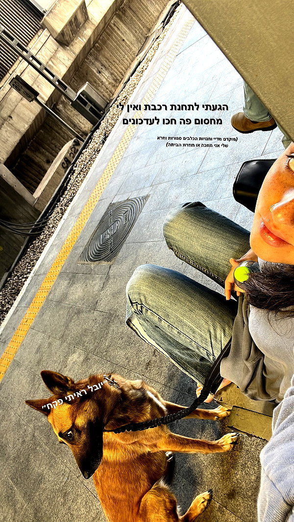 yuval_raz instagram image archive image