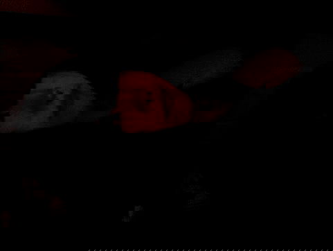 zoxmbiex image ~ Altpins