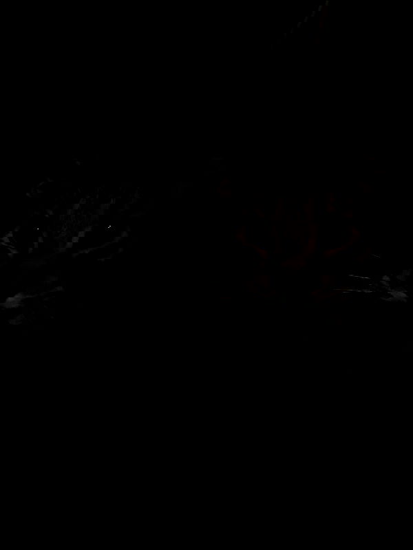 _animechika_ _animechika_ archive image