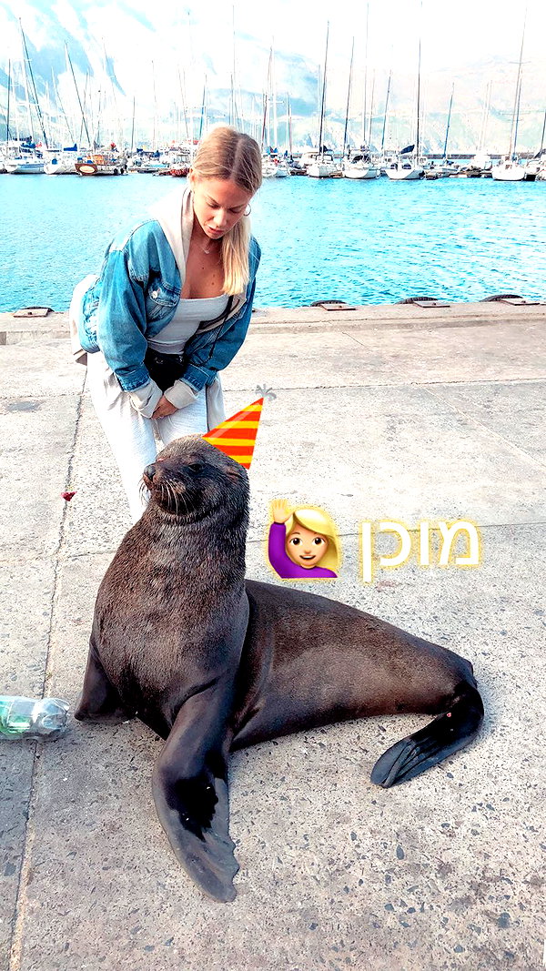 barzomer instagram image archive image