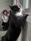 minenmi_ Altpins Profile Picture