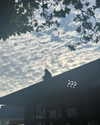 auddk_77 Altpins Profile Picture