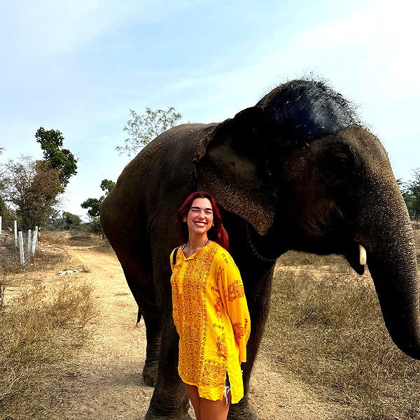 dualipa instagram image archive image