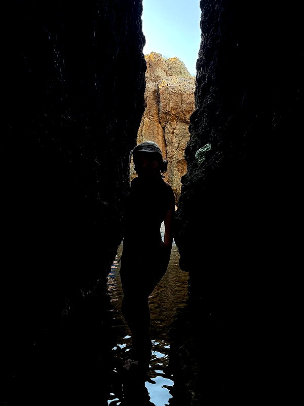 1vecua 1vecua archive image