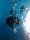 alishevs Altpins Profile Picture