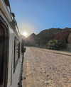 mishel_d_ Altpins Profile Picture