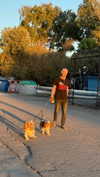 roni_ackerman Altpins Profile Picture
