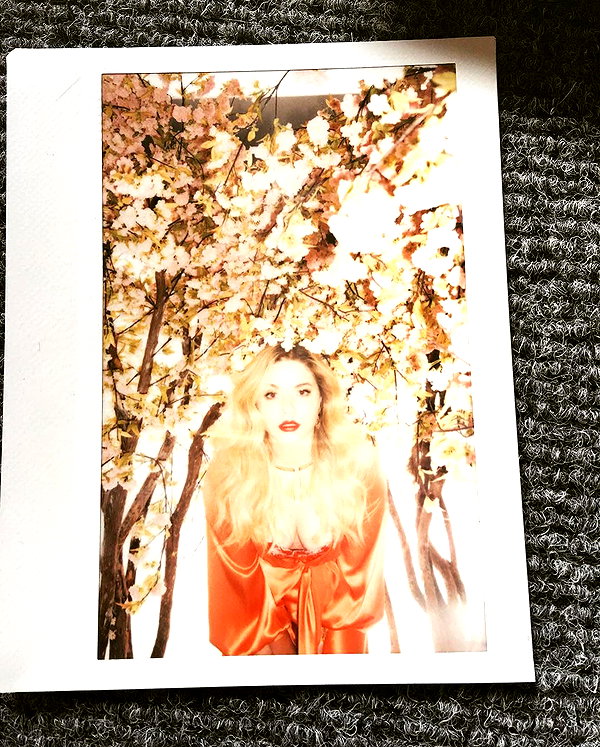 sashapieterse instagram image archive image