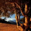 gabydayan Altpins Profile Picture
