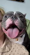 marilyn_damaged Altpins Profile Picture