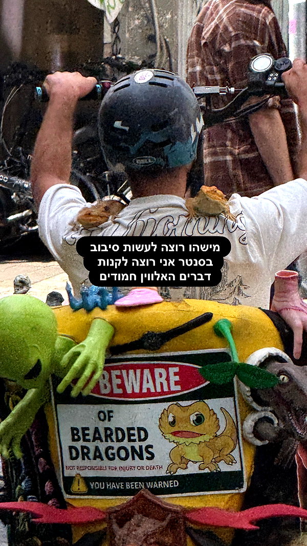elohim_adirim instagram image archive image