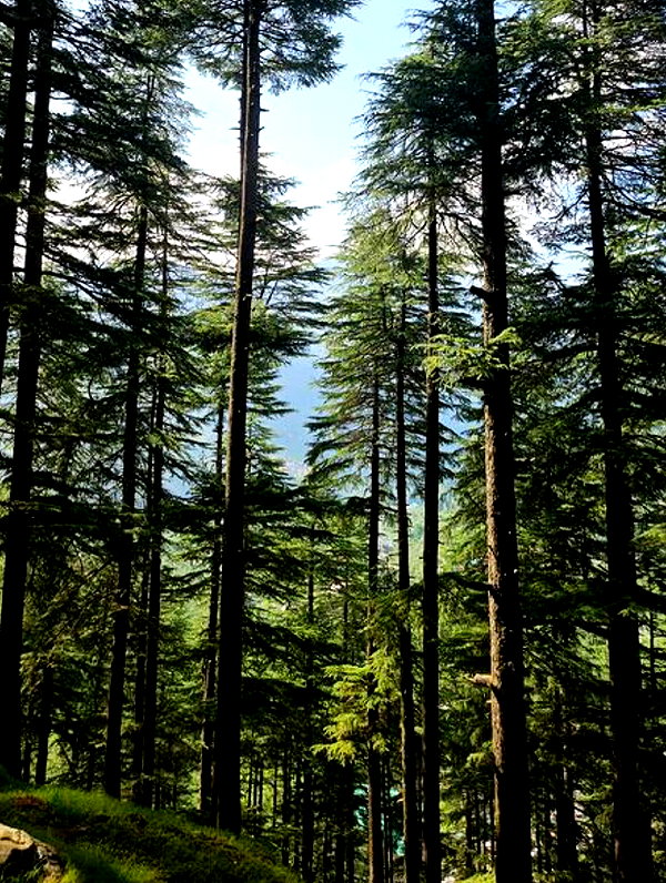 tamar_tsur instagram image archive image