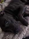 _m_a_y_c_ Altpins Profile Picture