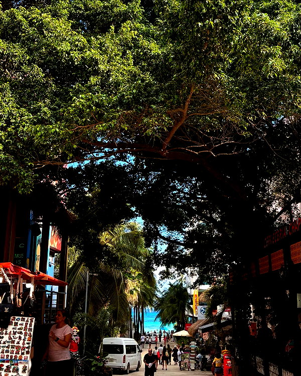 shirelokavi instagram image archive image