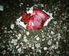 lowrtown Altpins Profile Picture