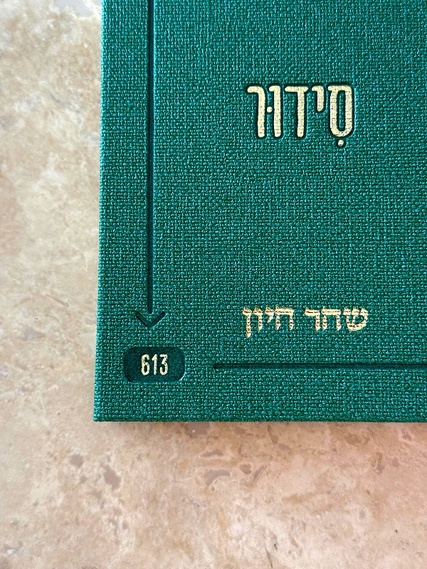 shahar__hauon instagram image archive image