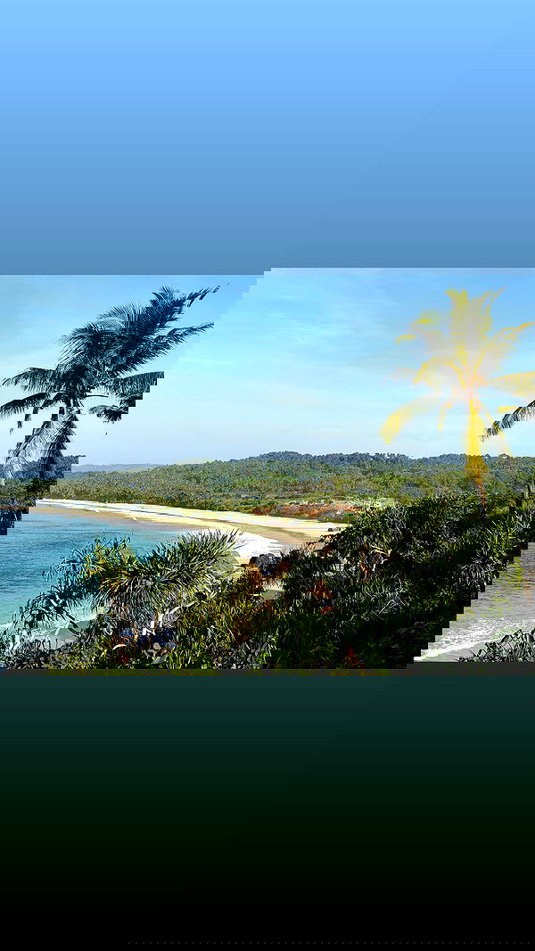 taylor.creeden taylor.creeden archive image