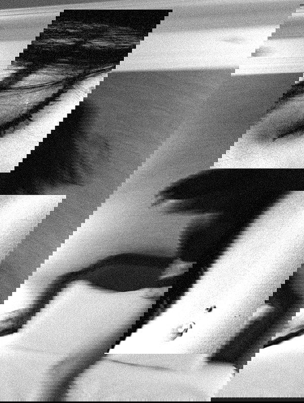 ting851204 ting851204 archive image