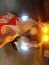 mekhrona_18 Altpins Profile Picture