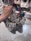 milkiwifey Altpins Profile Picture