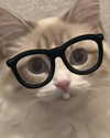 catl0verr69 Altpins Profile Picture