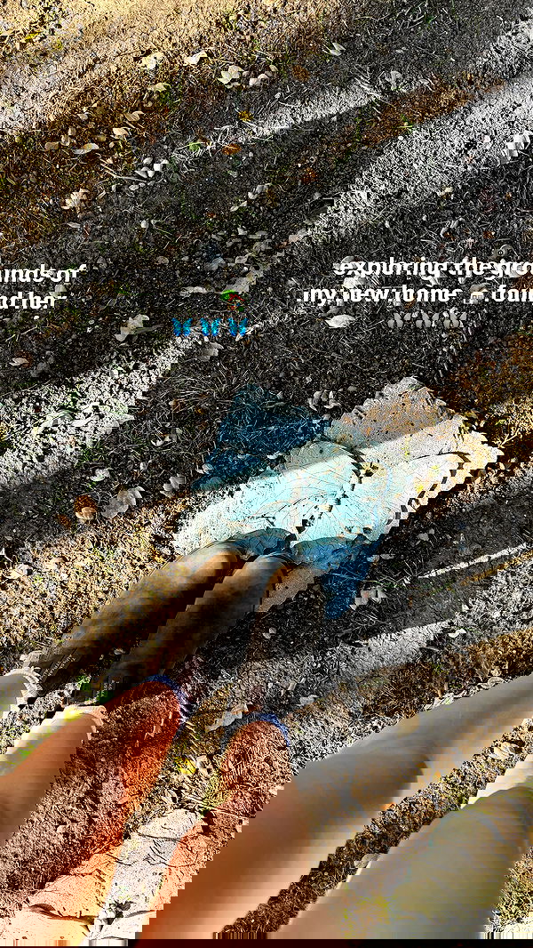 sophiemudd sophiemudd archive image