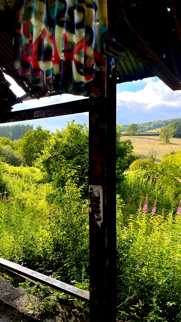 mollieruck instagram image archive image
