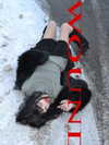 lerasww Altpins Profile Picture