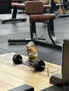 maiden_lifts Altpins Profile Picture