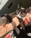 katrina.zaiceva Altpins Profile Picture