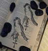 theobsidianlib Altpins Profile Picture