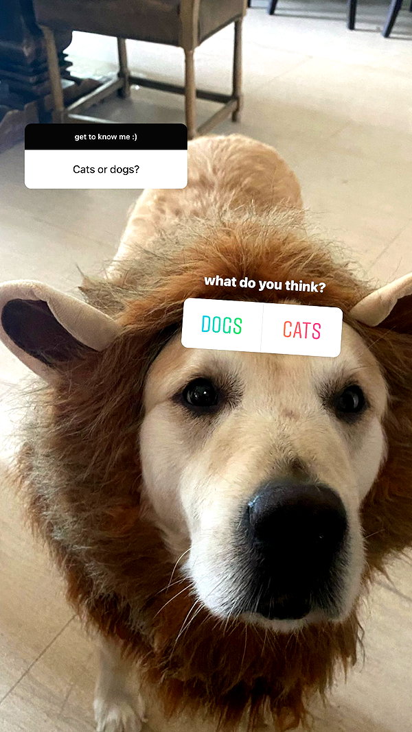 allie_dunn instagram image archive image