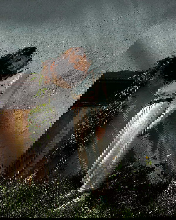 kkulakovaa image ~ Altpins