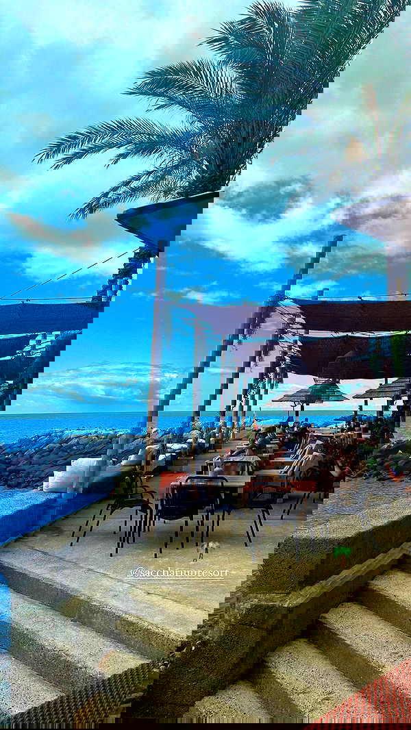 taylor.creeden taylor.creeden archive image